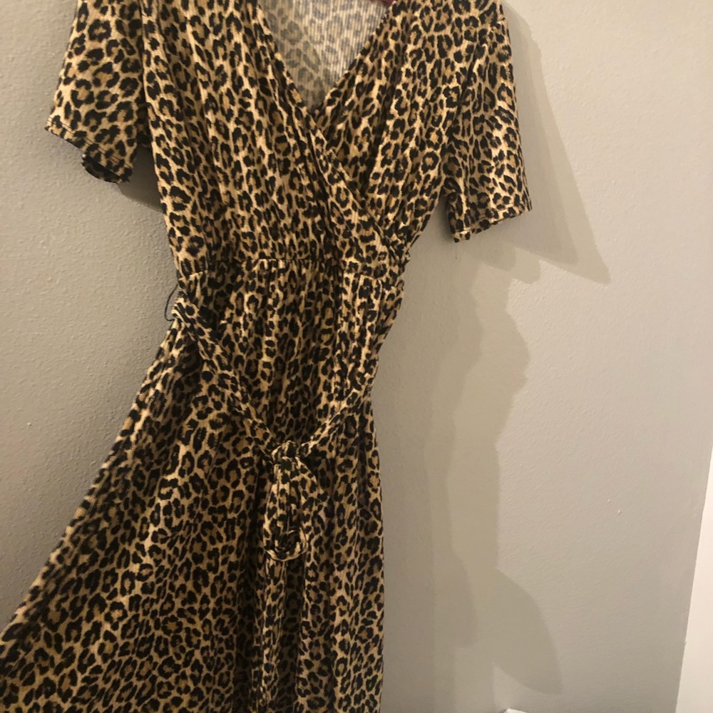 Leopard Dress - Picture 2 of 4